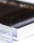 Detail view of brown eyelash extension strips displaying soft color for seamless regrowth and natural beauty