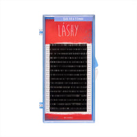 Eyelash extension tray with 'LASHY' branding on a white background