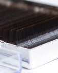 Brown Eyelash Extensions